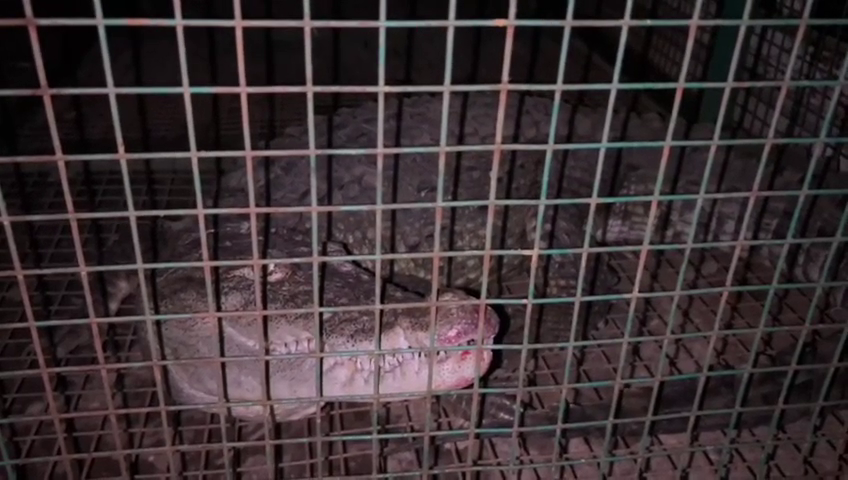 vlcsnap-2025-08-20-12h26m34s856